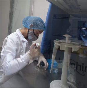 Laboratorio