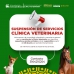 Comunicado a la comunidad universitaria y usuarios de la Clínica Veterinaria para grandes y pequeños animales 