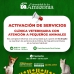 ¡Estamos de regreso!