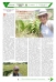 Periódico Construyendo Región || Domingos de lectura