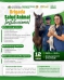 Brigada de Salud Animal Institucional