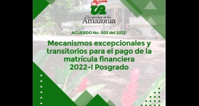 Mecanismos excepcionales y transitorios para el pago de la matrícula financiera 2022-I posgrado