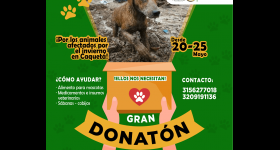 Gran Donatón por los animales afectados por el invierno en Caquetá
