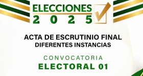 Escrutinio final de la jornada de elección de los Representantes a las diferentes Instancias