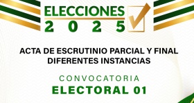 Escrutinio parcial de la jornada de elección de los Representantes a las diferentes Instancias